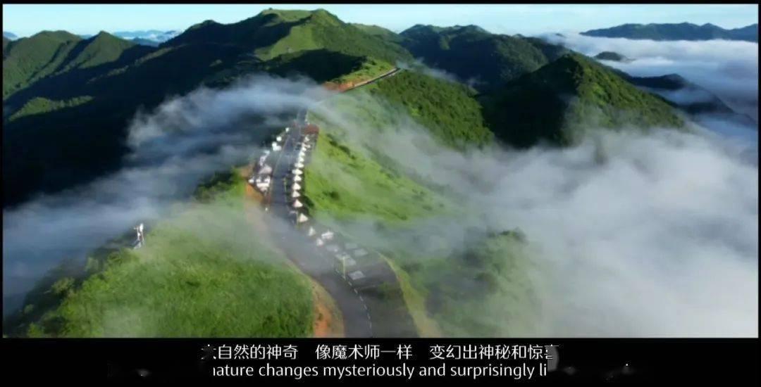 燃烧吧大脑免广告最新版